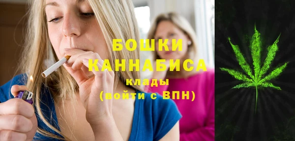мдпв Инта