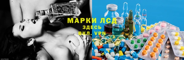 винт Алзамай