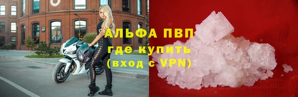 винт Алзамай
