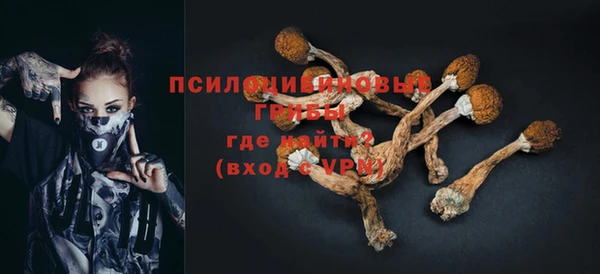 винт Алзамай