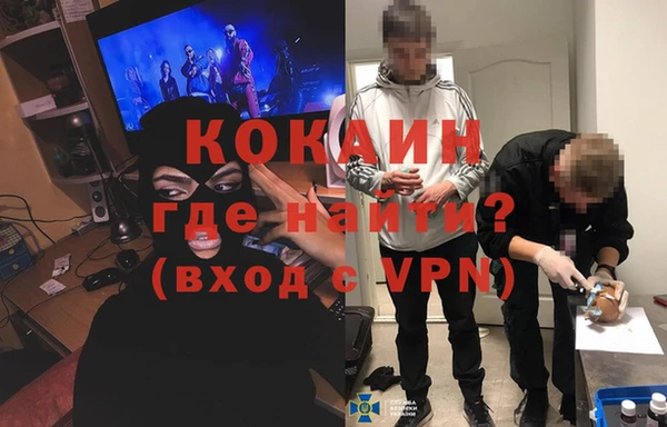 винт Алзамай