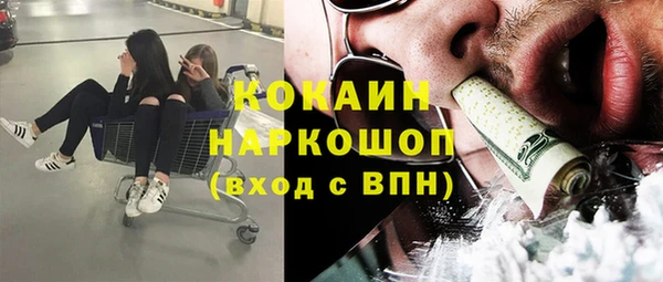 винт Алзамай